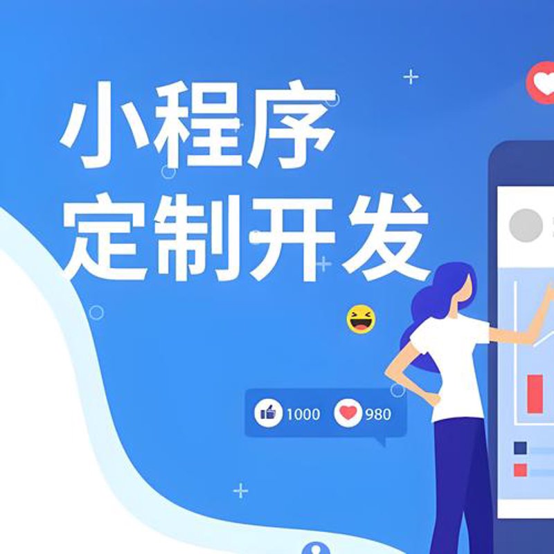 软件定制开发